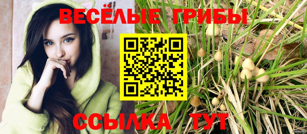 Тула  Галлюциногенные грибы GOLDEN TEACHER  Вход с VPN 